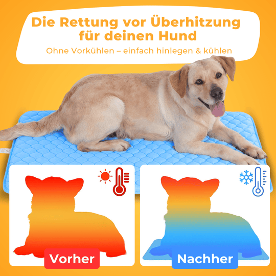 pet cooling mat, self cooling pet pad, dog cooling bed, cat cooling mattress, heat relief pet accessory