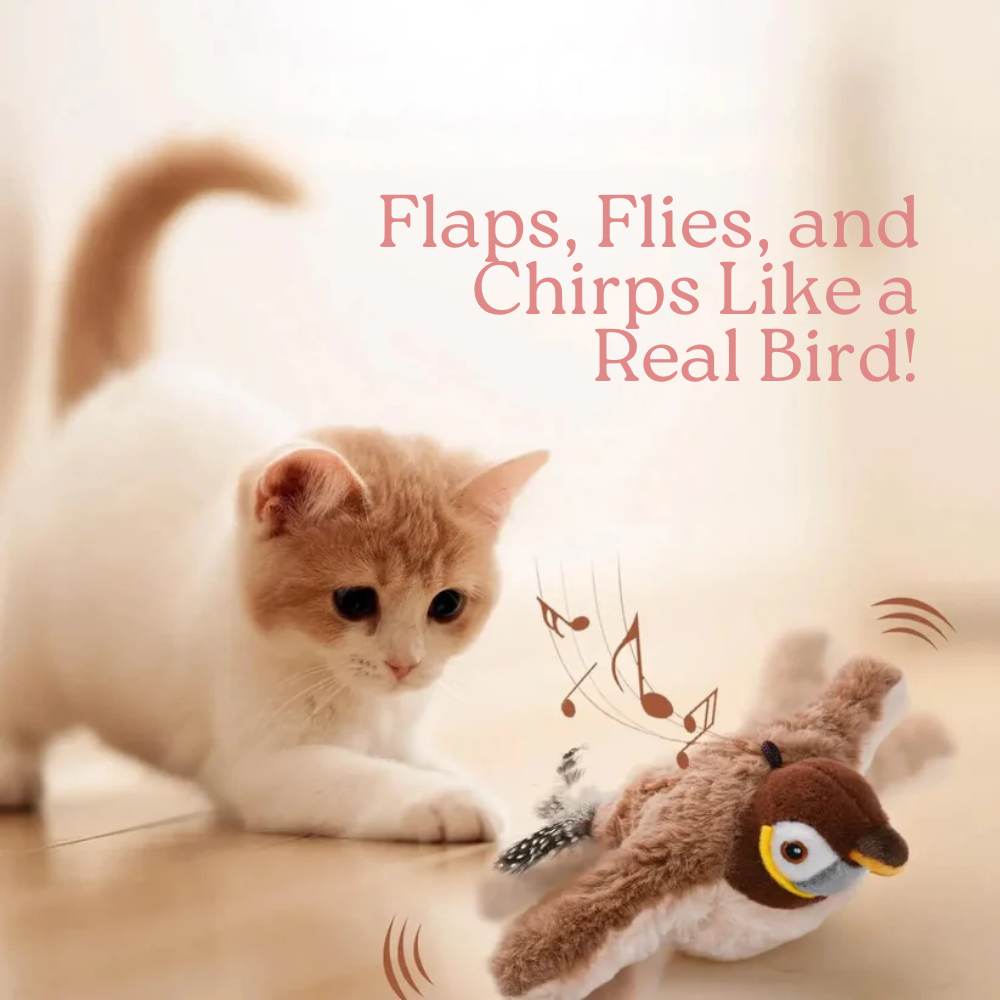 flying bird cat toy, rechargeable cat toy, interactive pet toy, motion play toy, indoor cat entertainment