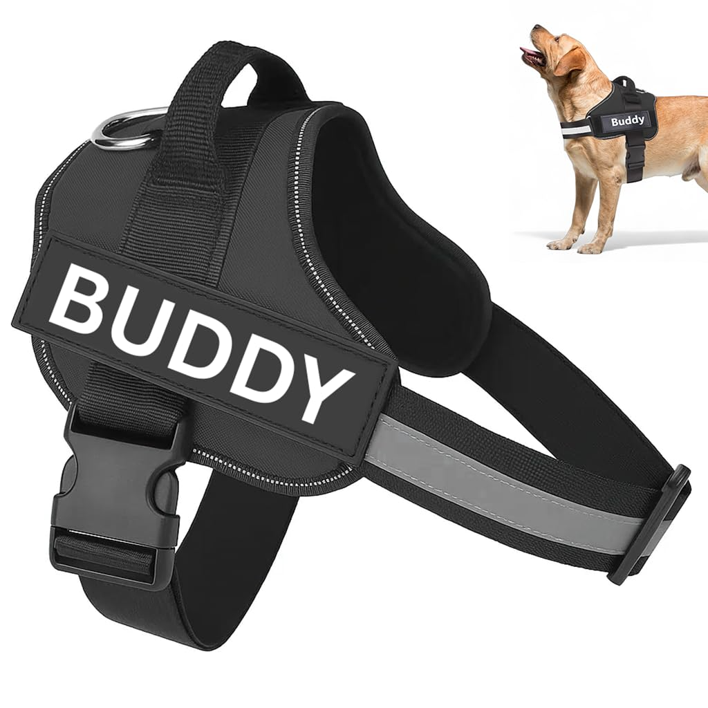 dog harness, adjustable no-pull vest, reflective pet harness, personalized dog gear, padded pet harness