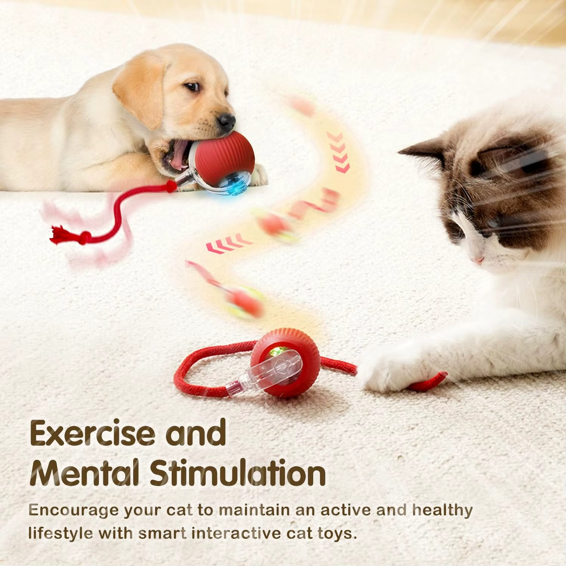 interactive pet toy, chase toy for dogs, cat play toy, boredom buster toy, pet activity toy