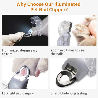 pet nail grinder, pet nail trimmer, rechargeable pet groomer, cat and dog grooming tool, quiet nail grinder