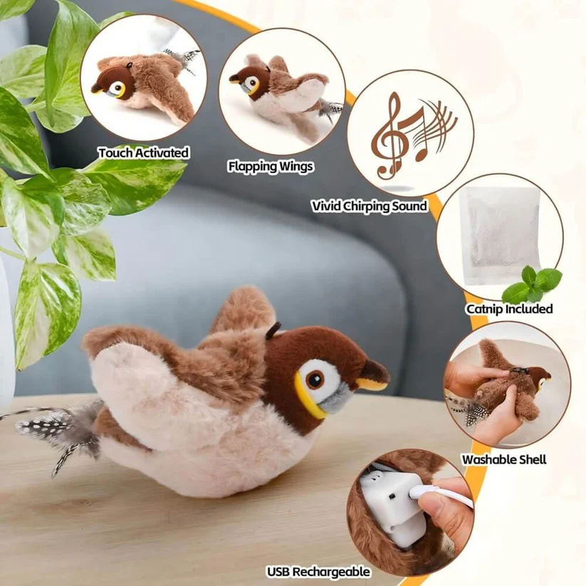 Cat Toy