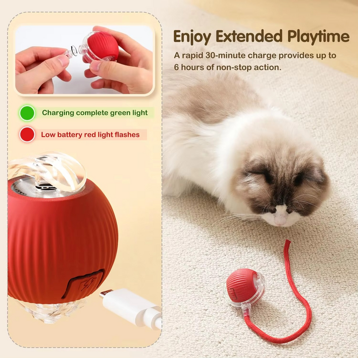 interactive pet toy, chase toy for dogs, cat play toy, boredom buster toy, pet activity toy