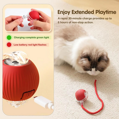 interactive pet toy, chase toy for dogs, cat play toy, boredom buster toy, pet activity toy