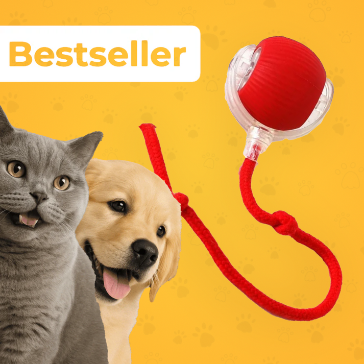 interactive pet toy, chase toy for dogs, cat play toy, boredom buster toy, pet activity toy