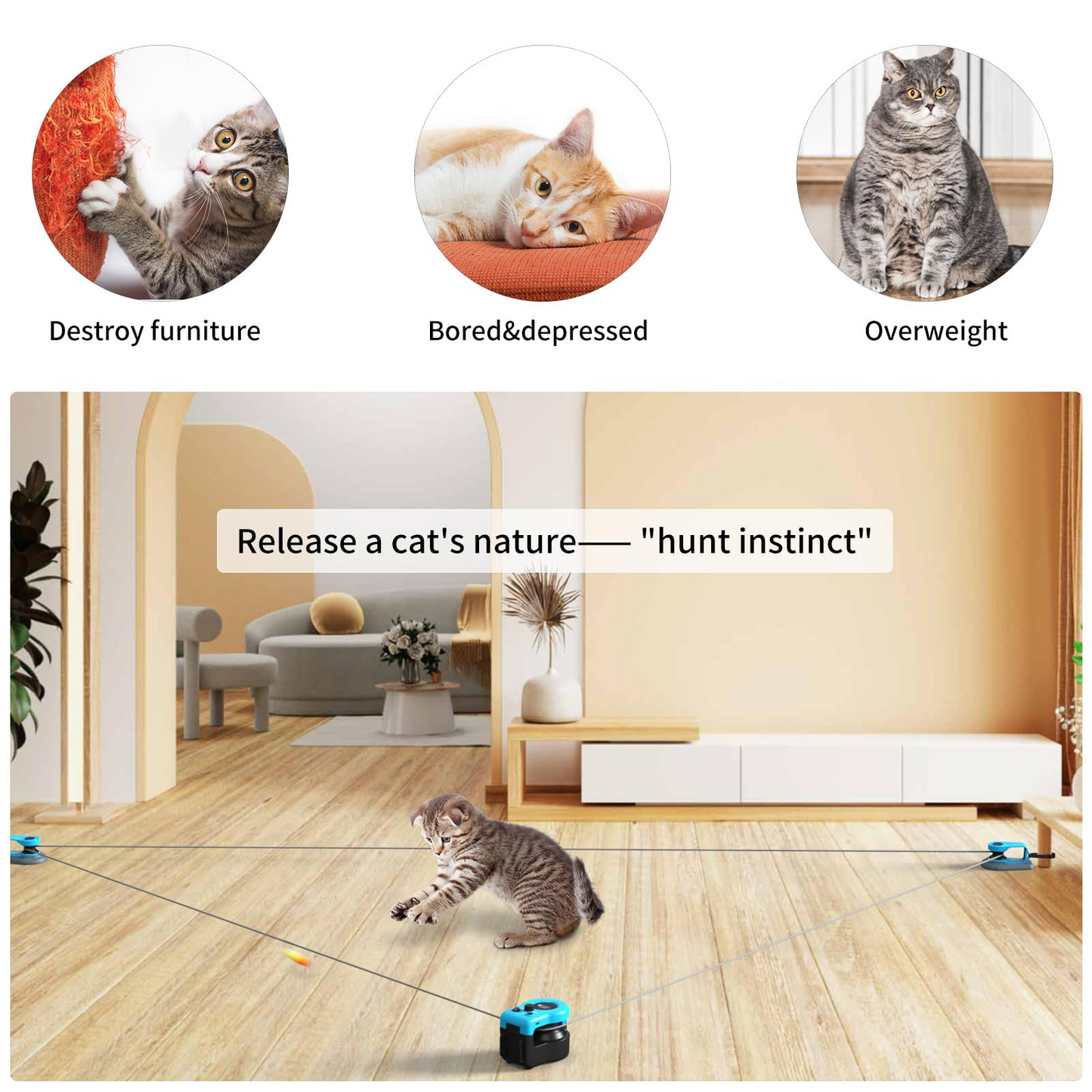 interactive cat toy, feather chase toy, rc cat toy, indoor cat exercise, pet play treadmill
