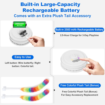 Interactive Hide and Seek Cat Toys