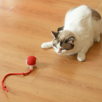 interactive pet toy, chase toy for dogs, cat play toy, boredom buster toy, pet activity toy