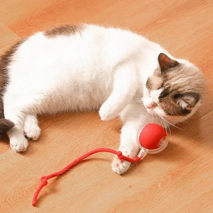 interactive pet toy, chase toy for dogs, cat play toy, boredom buster toy, pet activity toy